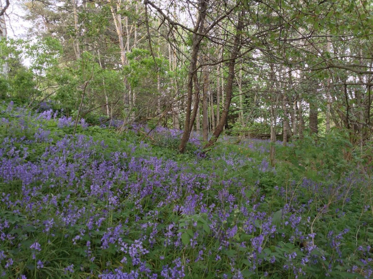 Dower House Newtonmore B&B 외부 사진